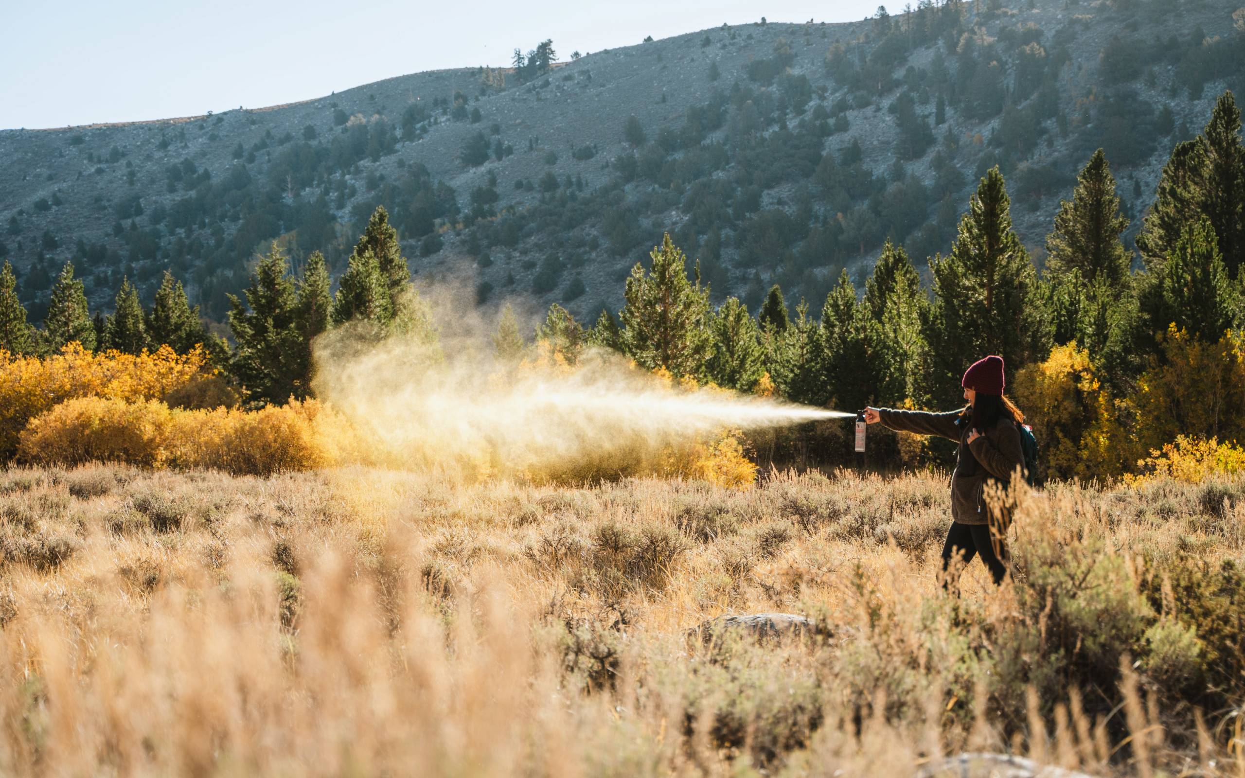 Frontiersman bear sprayed into backcountry