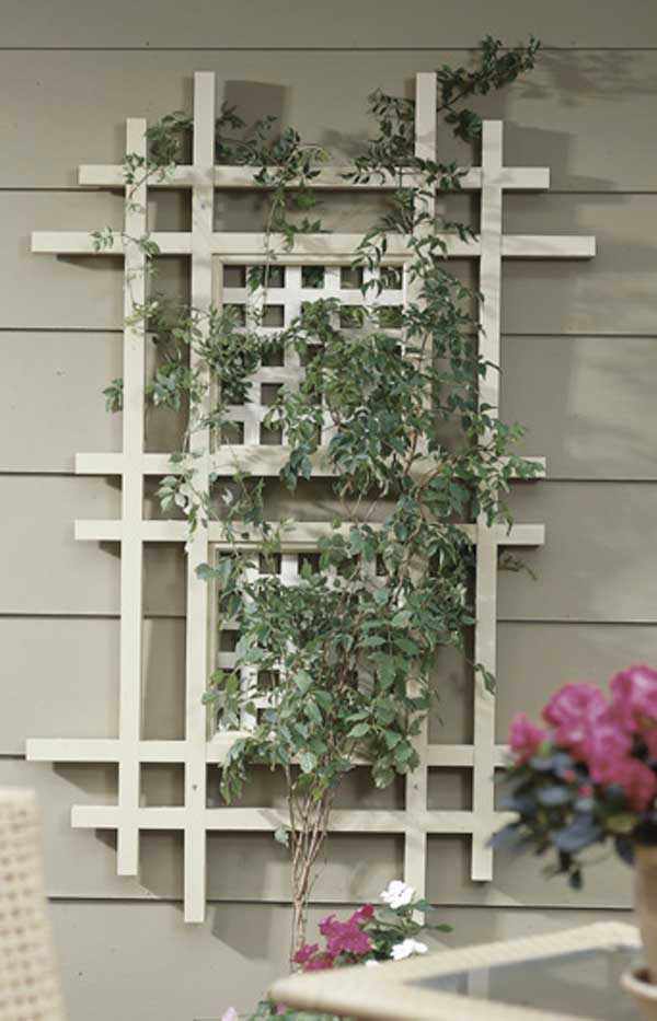 One terrific trellis