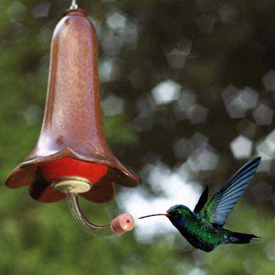 Flower-blossom hummingbird feeder