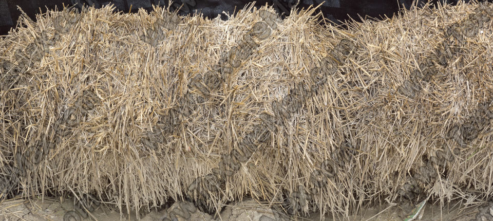 Texture of /wood/hay-and-straw/hay-and-straw_0014_01