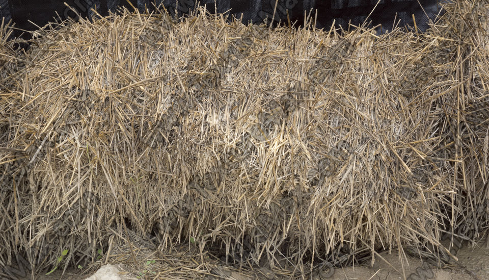 Texture of /wood/hay-and-straw/hay-and-straw_0014_02