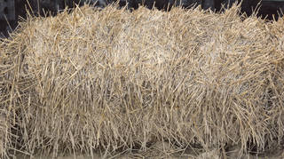 Texture of /wood/hay-and-straw/hay-and-straw_0014_03