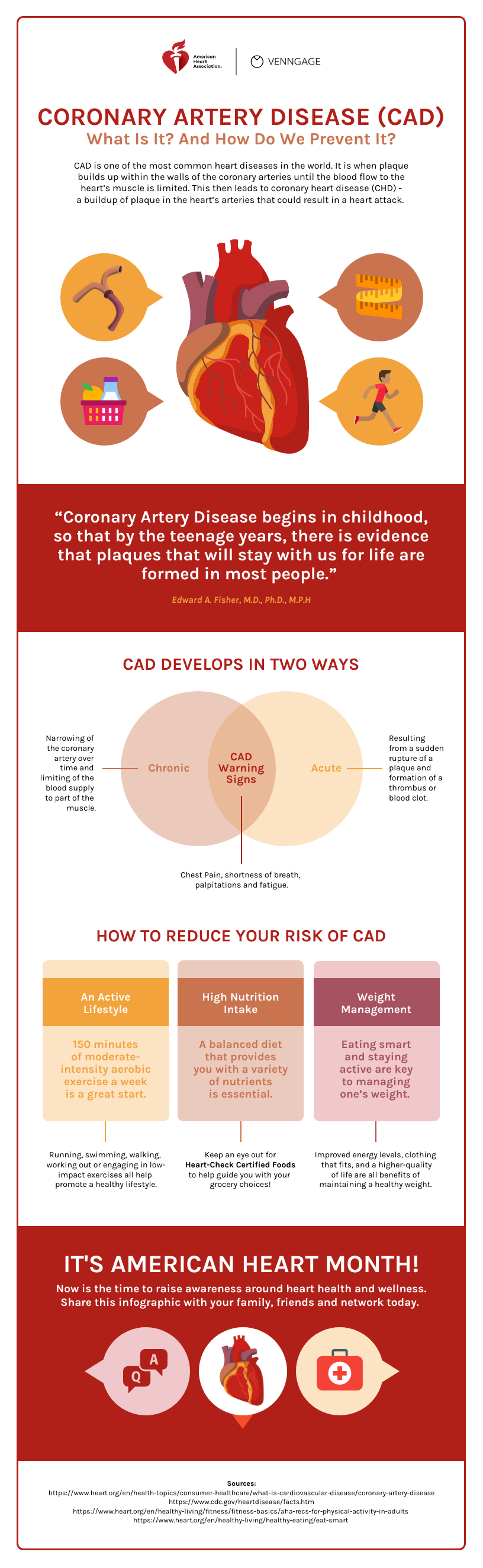 Infographic Heart Disease