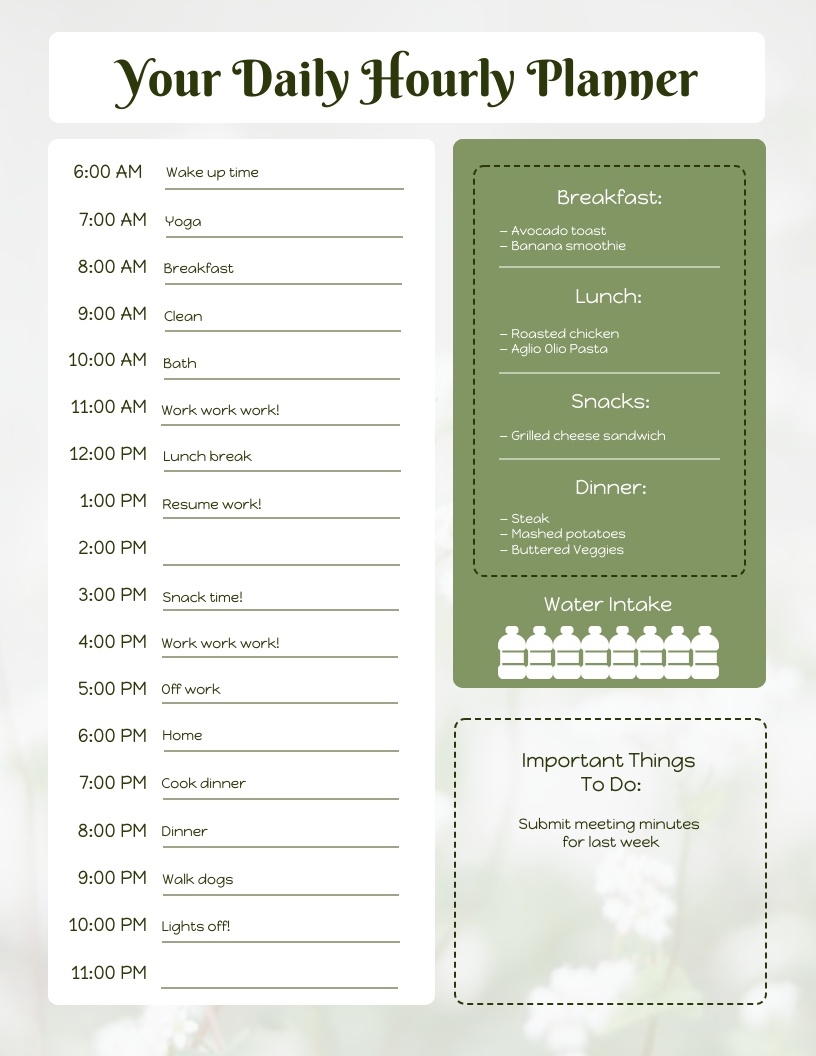 Daily Hourly Schedule Template