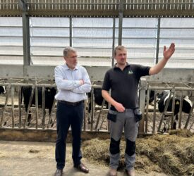 Dairy Throwback: Antrim father and son maximise farm efficiency