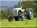 NH9108 : Ferguson tractor at Whitewell Croft by Dave Fergusson