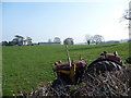 SJ2625 : Old Massey Ferguson near Treflach Hall by Jeremy Bolwell