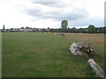 TQ4676 : Timber logs in East Wickham Open Space by David Anstiss