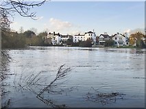 TQ1673 : The Thames below Eel Pie Island, February 2014 by Stefan Czapski