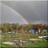 SP2966 : The shed at the end of the rainbow, Potterton’s Allotments, Warwick by Robin Stott