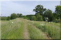 SU9575 : Embankment, Windsor Great Park by Alan Hunt