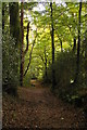 SX0963 : Lanhydrock: path in Colgare Plantation by Christopher Hilton