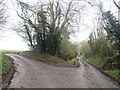 TL4329 : Country lanes near Stocking Pelham by Malc McDonald