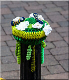 SO5924 : Yarn Bombing, Ross-on-Wye by Stuart Wilding