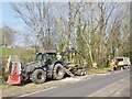 ST2986 : Tree felling, Masefield Vale, Gaer, Newport (set of 2 images) by Robin Drayton