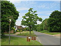 TQ0343 : B2128 road and village sign, Shamley Green by Malc McDonald