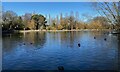 SP1392 : Pond, Pype Hayes Park, Birmingham by Robin Stott