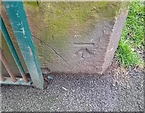 SJ3693 : Ordnance Survey Cut Mark by Adrian Dust