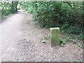 SE5830 : Marked stone at Brayton Barff by Stephen Craven