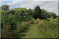 TL5372 : Fen Rivers Way in the Kingfishers Bridge Nature Reserve by Chris Heaton