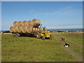 O1763 : Bringing in the bales at Flemingtown, Co. Dublin by Kieran Campbell