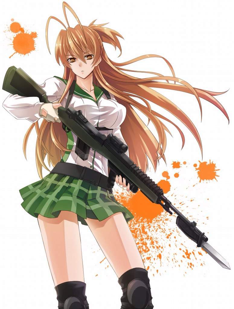 Highschool Of The Dead | Wiki | Anime Amino