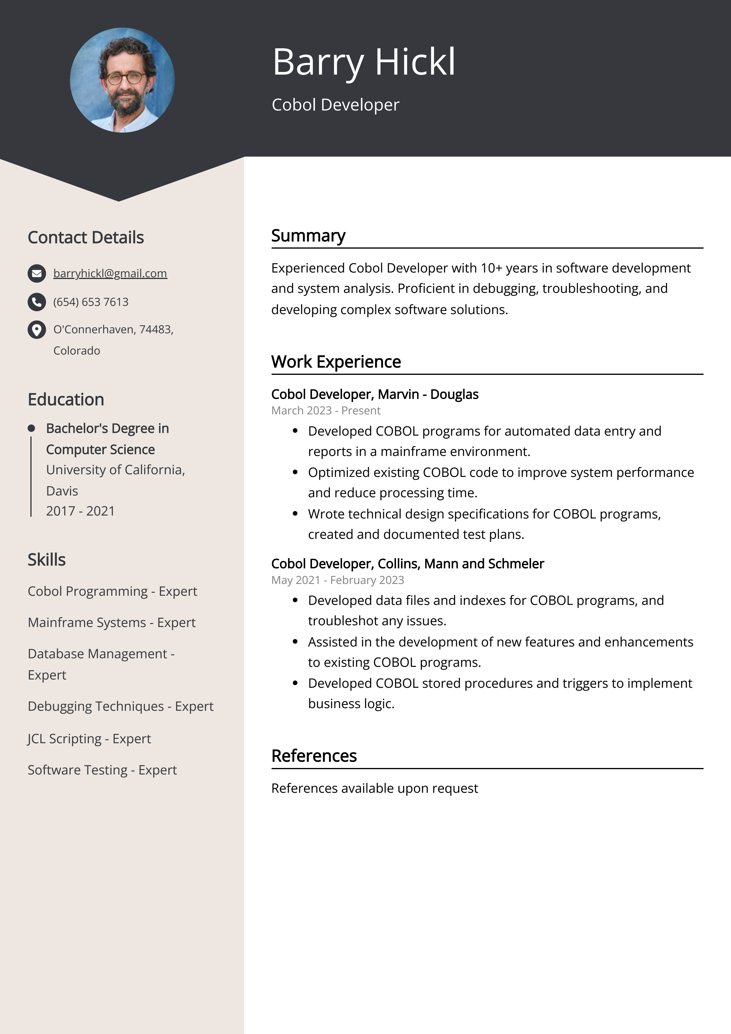 Cobol Developer Resume Example (Free Guide)