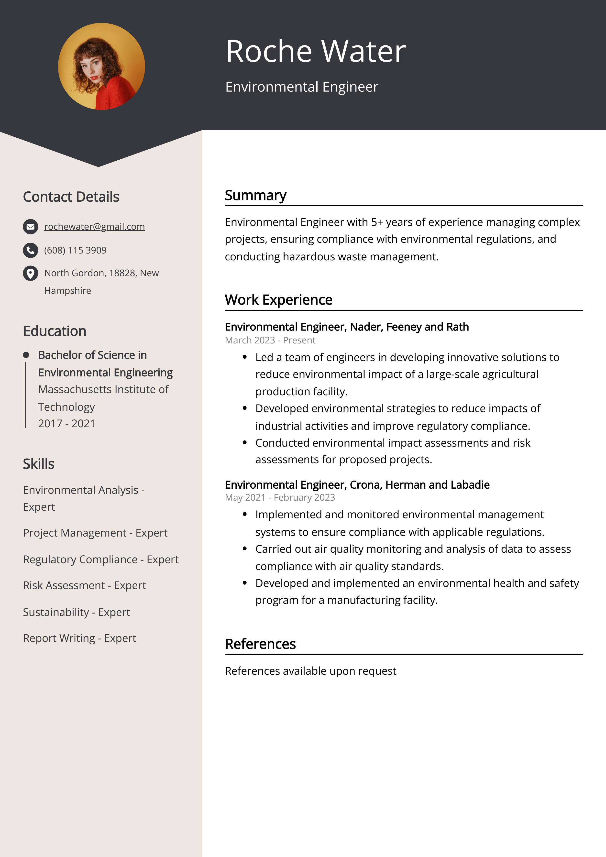 Environmental Engineer Resume Example (Free Guide)