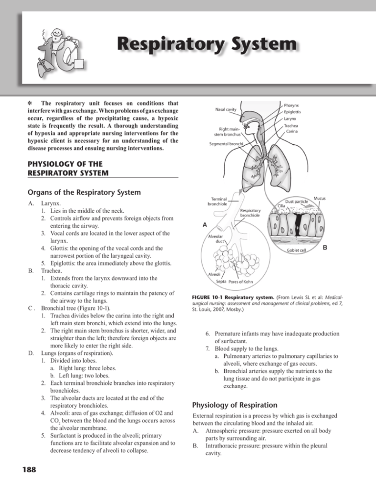 Chapter 10BW.indd - Nursing Education Consultants