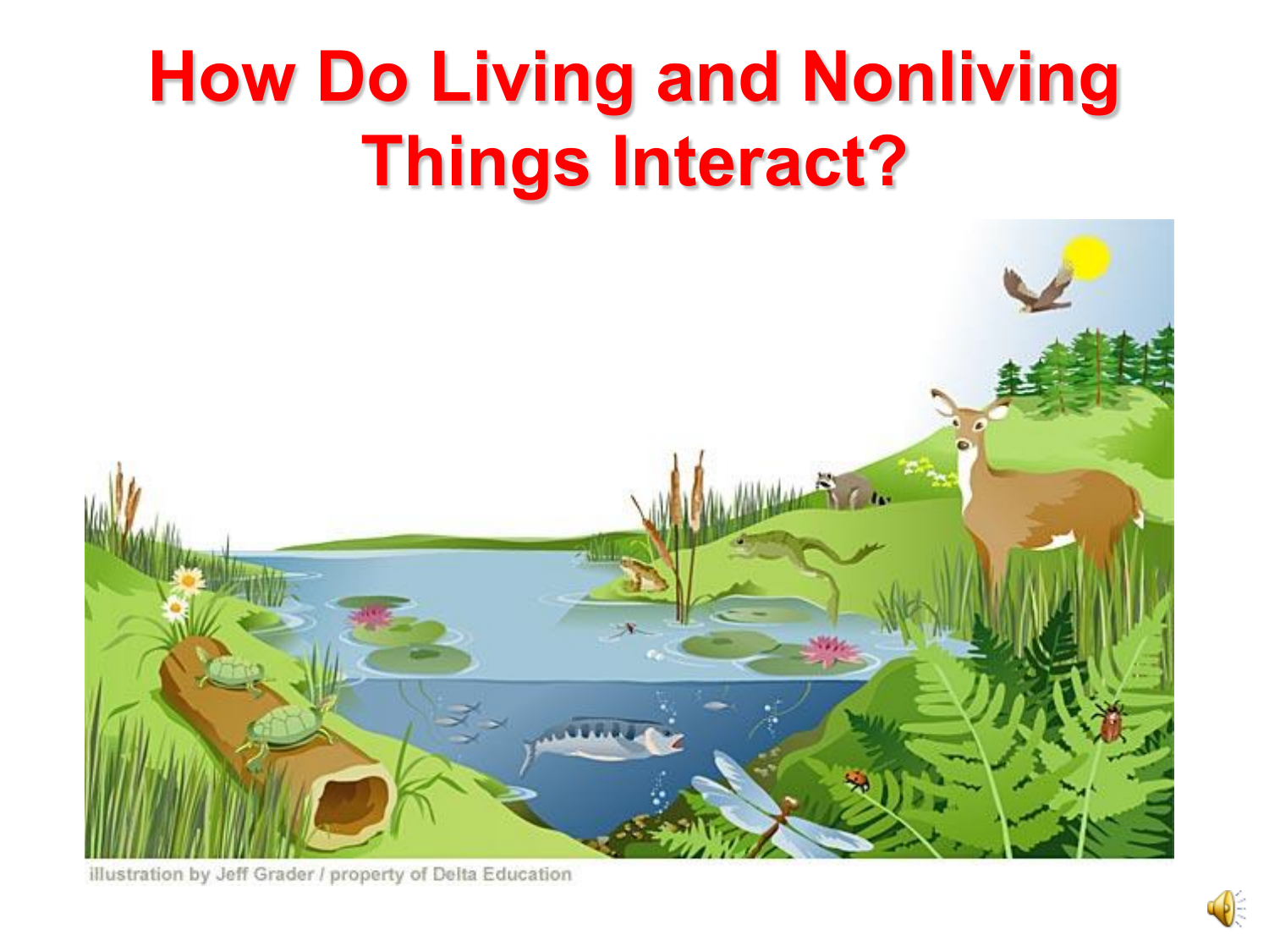 Living And Nonliving Things