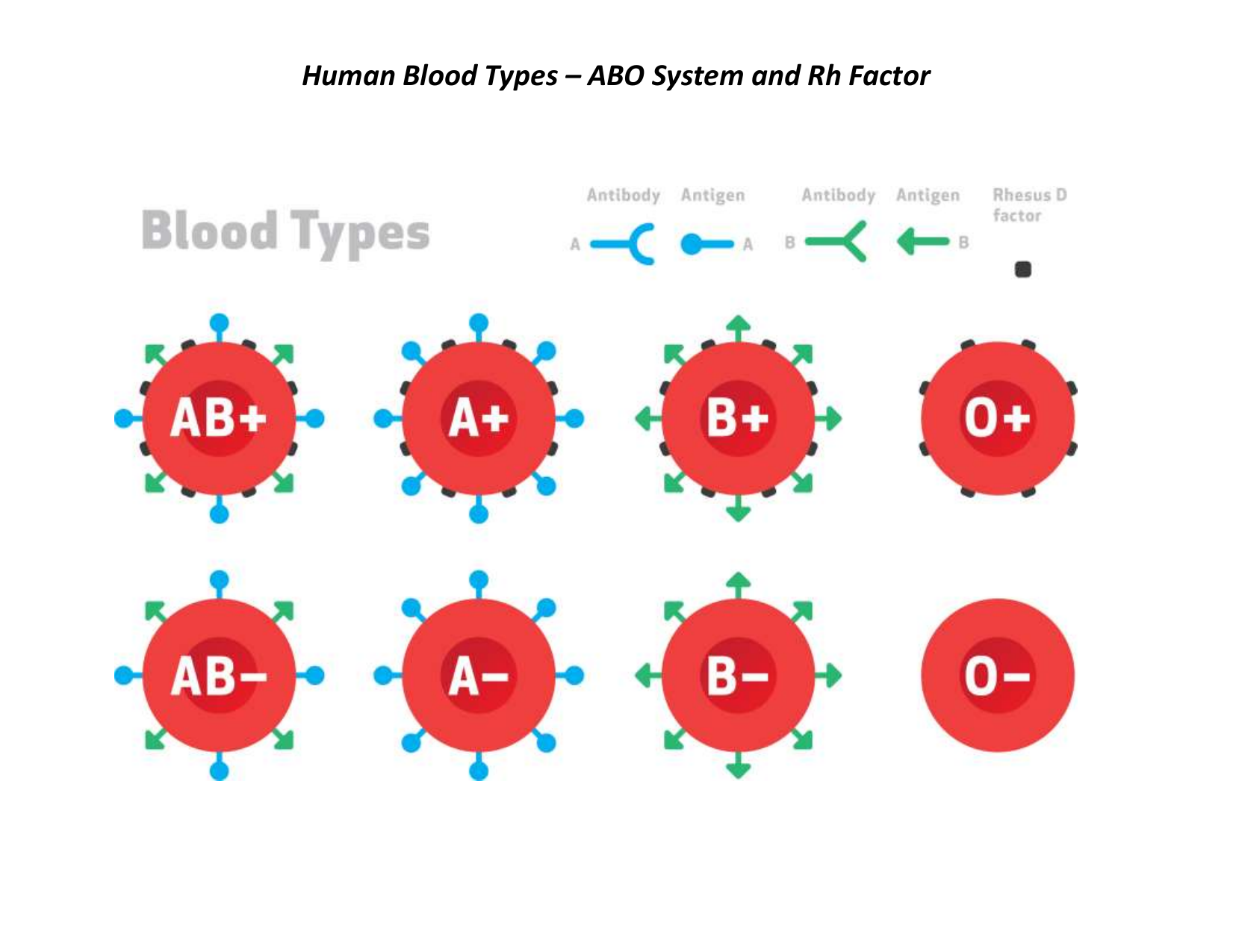 Blood type chart - myteper