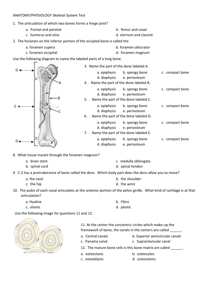 ANATOMY test #2