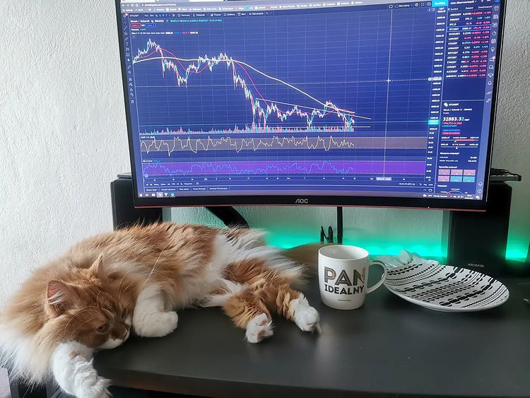 TradingView Chart sur @cryptokitku Instagram