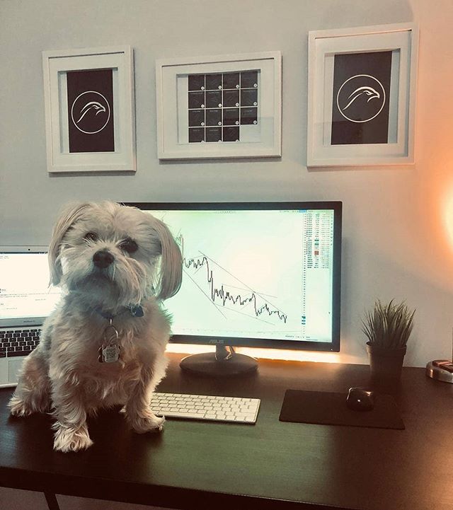 TradingView Chart on Instagram @mytradingsetup