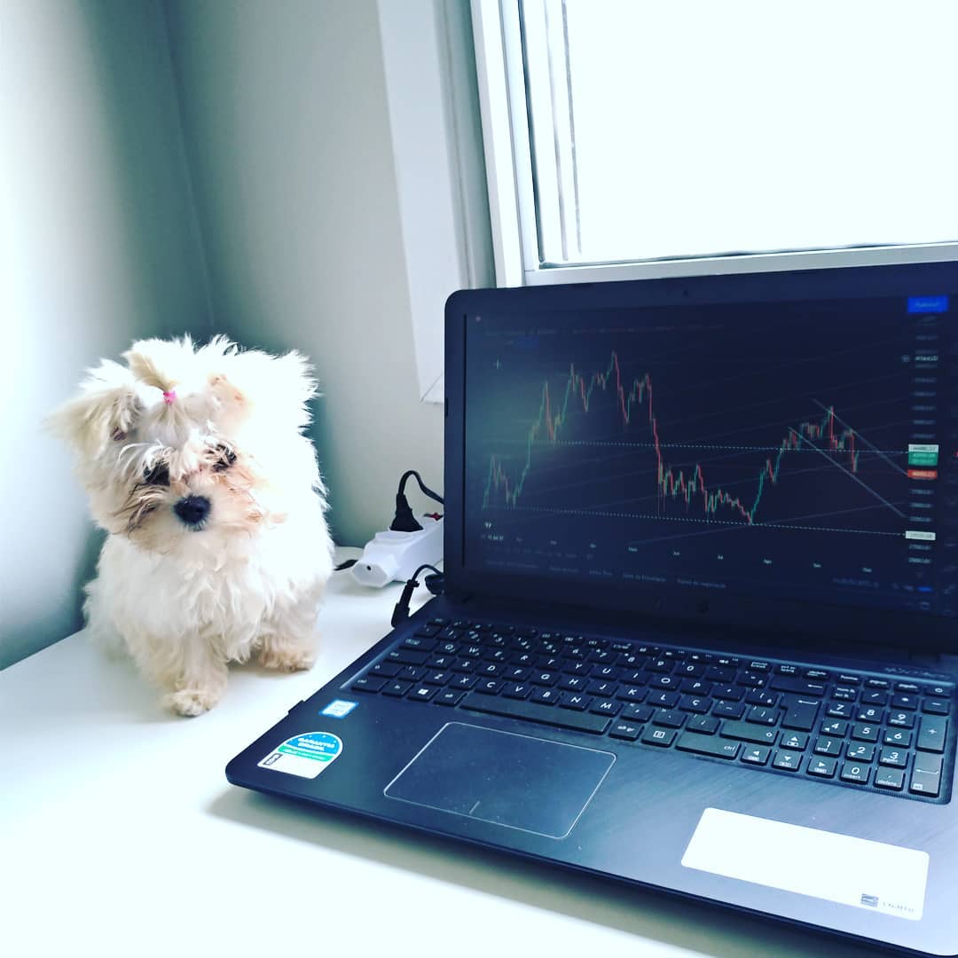 Grafico TradingView su Instagram @ocasalinveste