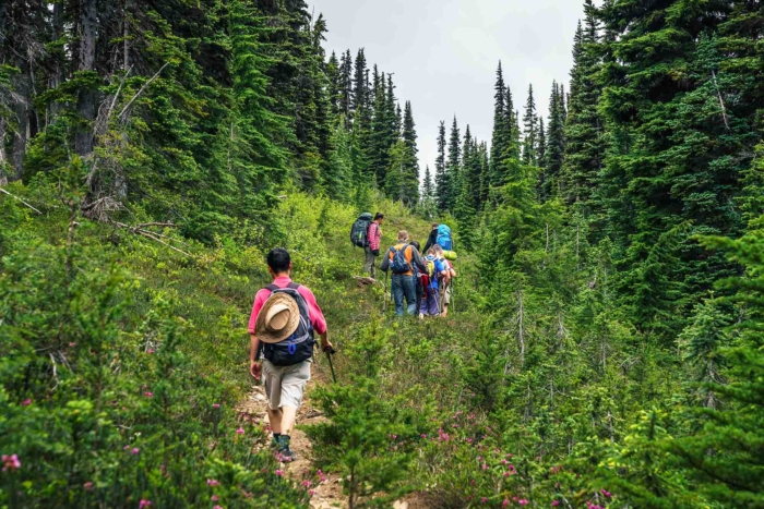 Manning,Park,Bc,Province,,canada,july,2016.hiking,On,The,Mountain,Trail