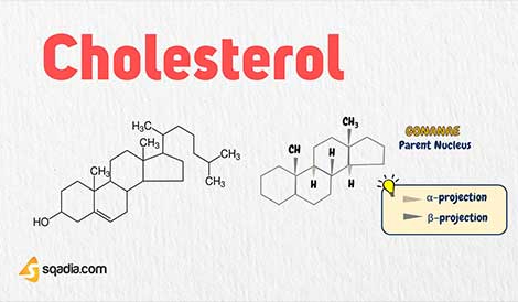 Cholesterol