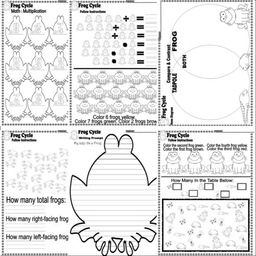 Frog Life Cycle Science Unit Worksheets Vocabulary Labeling Writing NO ...