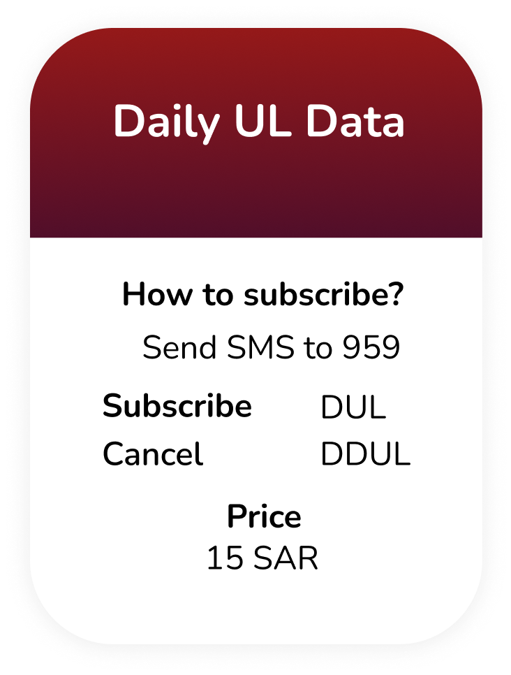 daily unlimited local calls and data bundle