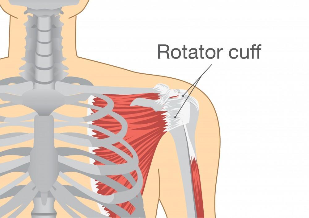 Understanding the Causes of a Rotator Cuff Injury