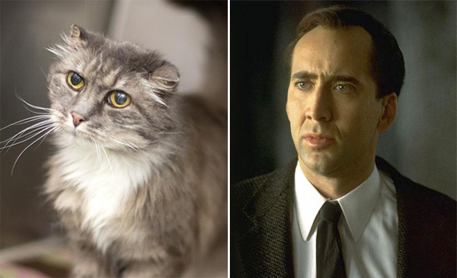 Nicolas Cage and his cat.