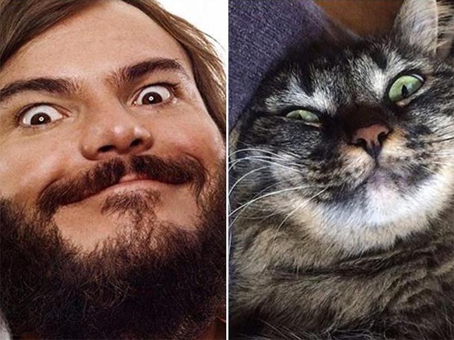 Jack Black and his cat.