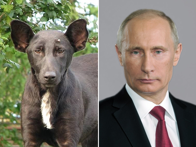 Putin and his dog.