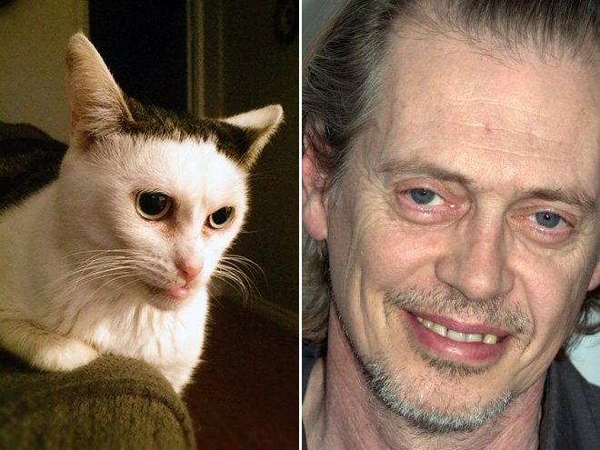 Steve Buscemi and his cat.