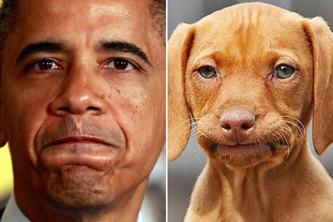 Obama and his dog.