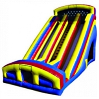 Commercial Grade Inflatable Deluxe Double Lane Slide