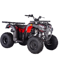 Pentora UT 250cc ATV Utility 4 Stroke Manual Quad