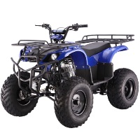 TaoTao Brand New 250D Utility ATV Air Cooled 4 Stroke Full Size Manual Transmission Four Wheeler