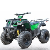 200cc ATV Fully Automatic With Reverse!