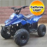 110cc Spider-SE Fully Auto ATV